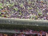image of grave number 795292